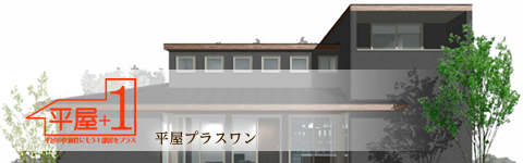 平屋+1