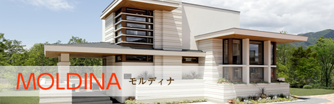 MOLDINA モルディナ