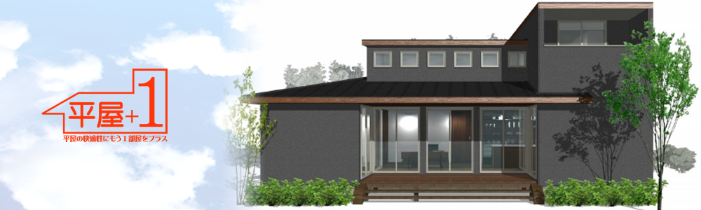 平屋+1(平屋プラスワン)