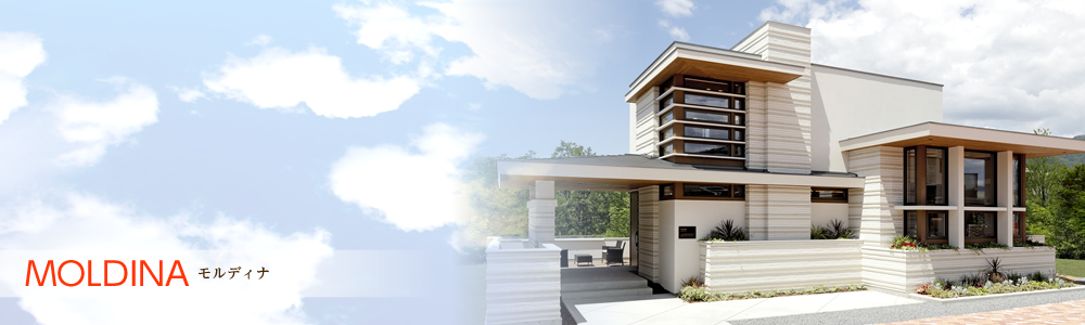 MOLDINA モルディナ